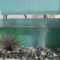 اکواریوم با ماهی و وسایل