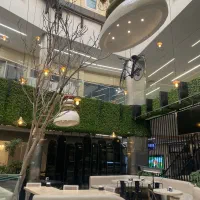 صندوقدار و ویتر خانم نیم شیفت یا تمام شیفت