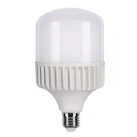 لامپ ۵۰ وات پارس با ضمانت