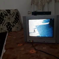 تلویزیون|تلویزیون و پروژکتور|دزفول, |دیوار