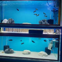 اکواریوم با پایه