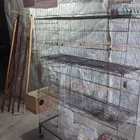 فروش قفس پرون