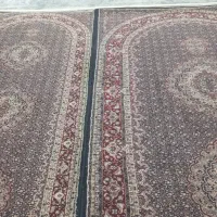 فرش|فرش|مریوان, |دیوار