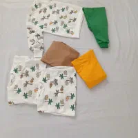 عمده|لباس|سده (خراسان جنوبی), |دیوار