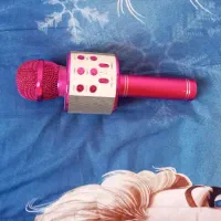 اسپیکرمیکروفونی|پخش‌کننده همراه|بیرجند, |دیوار