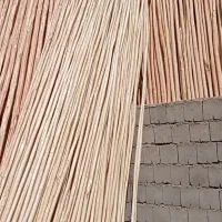 چوب داربند انگور وداربست وچوبفروشی|عمدهفروشی|یزد, |دیوار