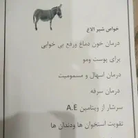 شیر شتر و شیر الاغ و دوغ شتر|خوردنی و آشامیدنی|بافق, |دیوار