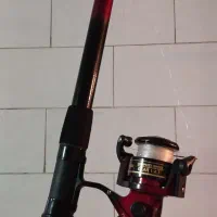 لنسر ماهیگیری