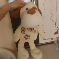 عروسک|اسباب‌‌بازی|گرگان, |دیوار