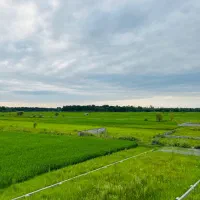 فلت همکف با روف روبه جنگل /کد624|فروش خانه و ویلا|چمستان, |دیوار