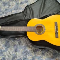 گیتار کلاسیک نوع