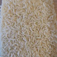 برنج اعلاطارم هاشمی مستقیم از کشاورز تا سفره شما