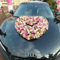 درست کردن ماشین عروس و دسته گل عروس و تزئین سالن|خدمات پذیرایی، مراسم|زابل, |دیوار