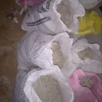 زل کفتر