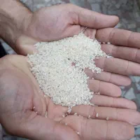 برنج نیم دانه