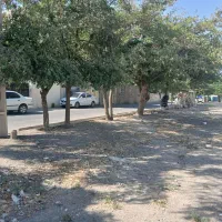 زمین محمدشهر