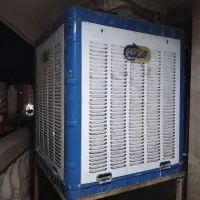 کولرابی بالا زن