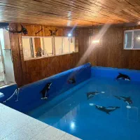 اجاره سالن استخر دار|اجارهٔ کوتاهمدت ویلا و باغ|زنجان, |دیوار