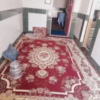 فروش مسکن منزل پاچکوه همکف ۳۱۲ متر ۱۵۰ زیر بنا|فروش خانه و ویلا|امیدیه, |دیوار