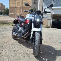 بنلی۳۰۰ نیوفیس