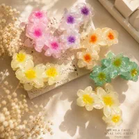 اکسسوری|بدلیجات|رشت, فلسطین|دیوار