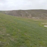 طبیعتگردی