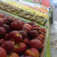 واگذاری میوه فروشی|اجارهٔ مغازه و غرفه|بیرجند, |دیوار