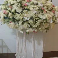 گل خواستگاری