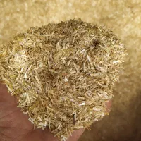کاه گندم ریز درجه یک
