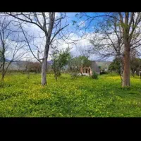 آپارتمان شخصی ساز زندی نیا