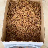 کشمش اشغاری|خوردنی و آشامیدنی|شیروان (خراسان), |دیوار