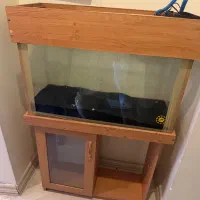 اکواریوم بزرگ همراه با شن مشکی