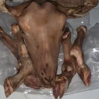 کله پاچه تازه