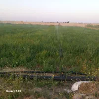 ۳۰۰۰متر زمین کشاورزی