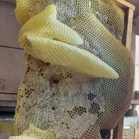 عسل زنبوردار