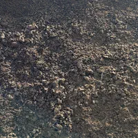 فروش انواع کودبدون واسطه|خدمات باغبانی و درختکاری|برازجان, |دیوار