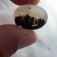 سنگ شجر|جواهرات|تهران, هرندی|دیوار