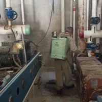 سمپاشی تخصصی و تضمینی منازل و اماکن
