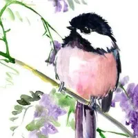 آموزش طراحی مداد رنگی اکرولیک