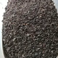 چای بهاره ۱۴۰۴ ممتاز لاهیجان