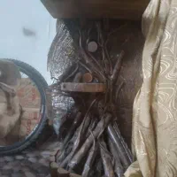 بار و تزئینی بار و کمد چوبی قدیمی|بوفه، ویترین، کنسول|کرج, فاز ۴ مهرشهر|دیوار