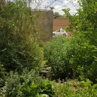 فروش زمین ۵۰۰ متری روستای شیخ میری|فروش زمین و ملک کلنگی|بروجرد, |دیوار