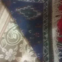 فرش دستبافت|فرش|فسا, |دیوار