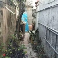 گلنگی-گلستان-31