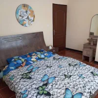 آپارتمان مبله فقط ماهیانه بیمارستان پیونداعضا صدرا|اجارهٔ کوتاهمدت آپارتمان و سوئیت|شیراز, شهرک گلستان|دیوار