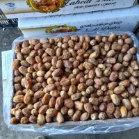 خرما زاهدی خشک|عمده‌فروشی|فامنین, |دیوار