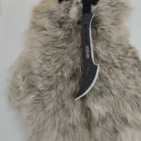 بامبو کوسه بامبو زامبی