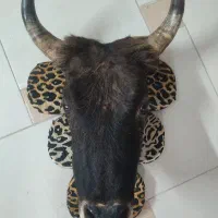 دکور دیواری