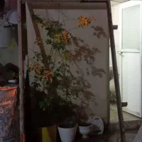 وسایل خانه|حراج|دورود, |دیوار