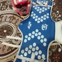 کلاو هگو تکواندو